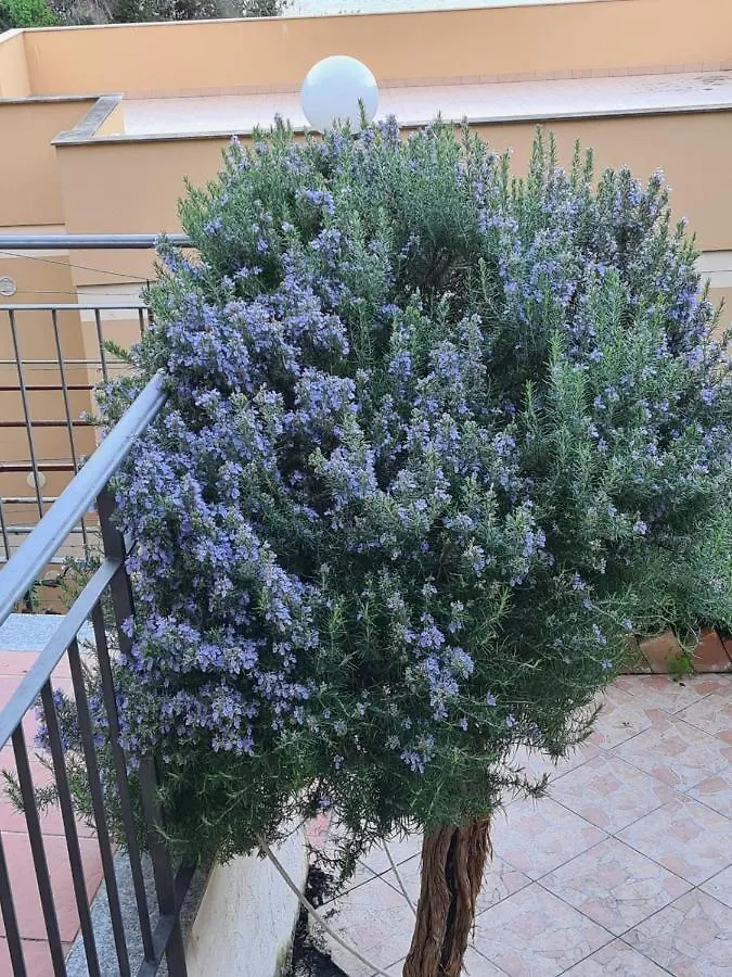 Il Rosmarino Apartment Taormina 0*,  Italy